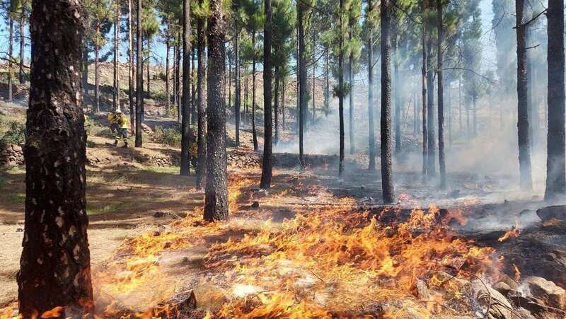 Las primeras quemas prescritas realizadas por expertos de la Corporación insular datan de hace 21 años y los Equipos Presa fueron creados hace 20 / TA